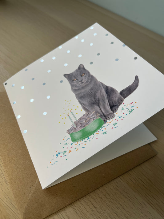 Blue Cat Birthday Greetings Card