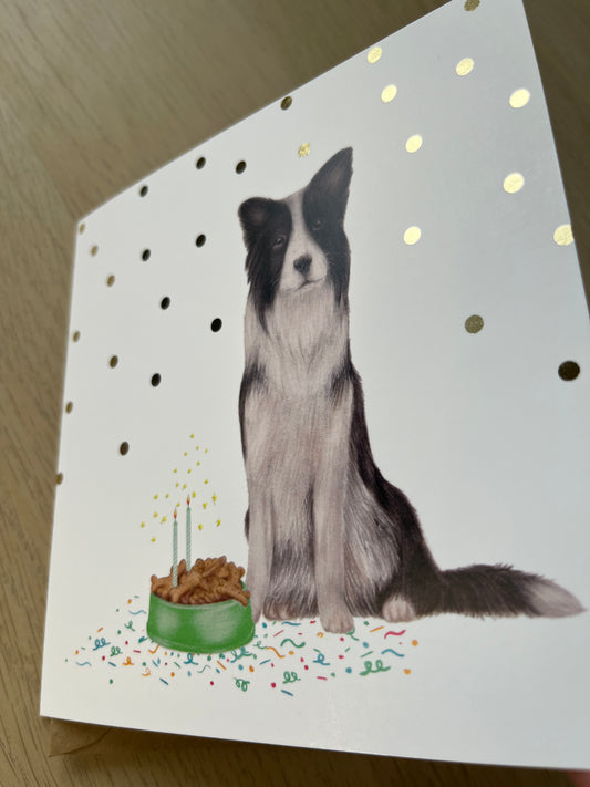Border Collie Birthday Greetings Card