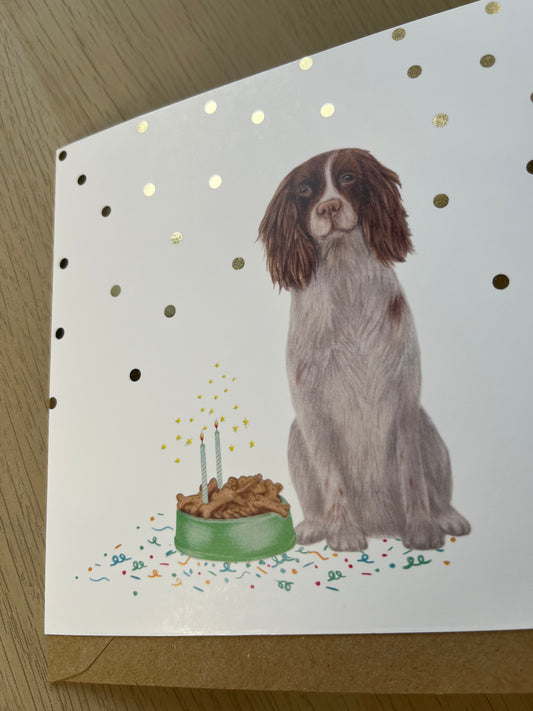 Springer Spaniel Birthday Greetings Card