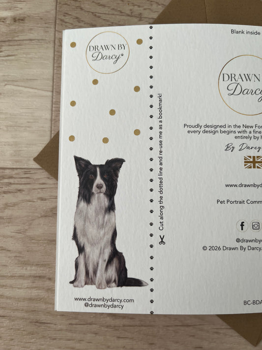 NEW! Border Collie Birthday Greetings Card