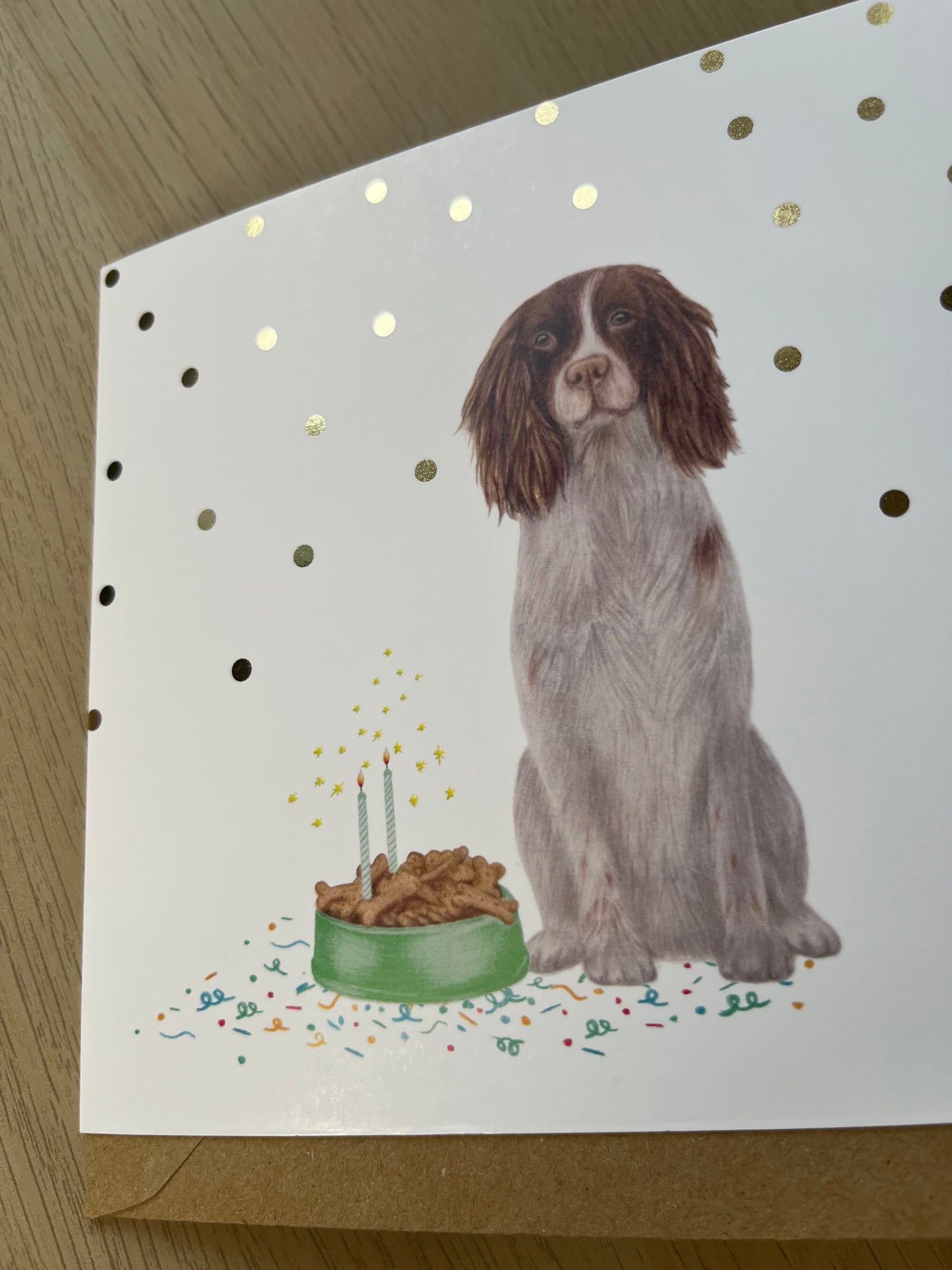 Springer Spaniel Birthday Greetings Card