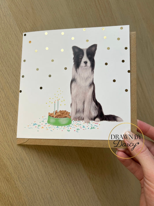 Border Collie Birthday Greetings Card
