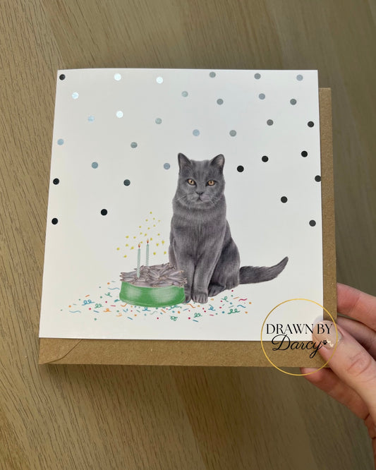 Blue Cat Birthday Greetings Card